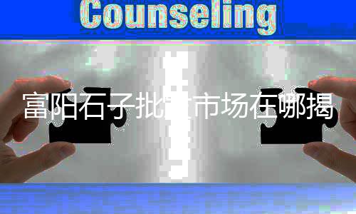 邯郸石子批发零售、红桥石子零售、北京石子零售、东丽区石子零售