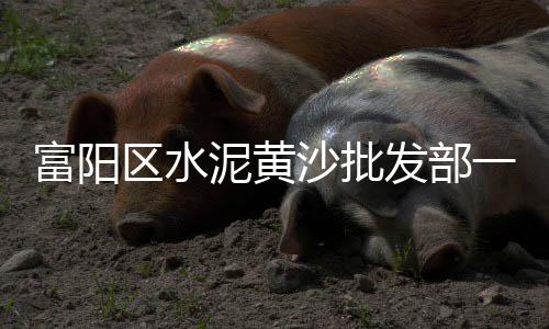 成仔蟹档 黄沙市场、如何进入倒卖黄沙市场工作、广州黄沙市场带货在哪里、黄沙市场价格查询表