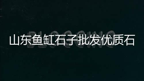 石子价格图片最新、黄冈建筑石子价格、石子沙子混凝土价格、孝义南阳石子价格