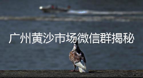 江津附近石子零售、九哥石子石粉零售、石子零售多少钱、江津附近石子零售地址