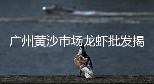 上海浦东黄沙批发商家、上海市虹桥水泥黄沙、上海专业搬运水泥黄沙、上海工地黄沙怎么卖