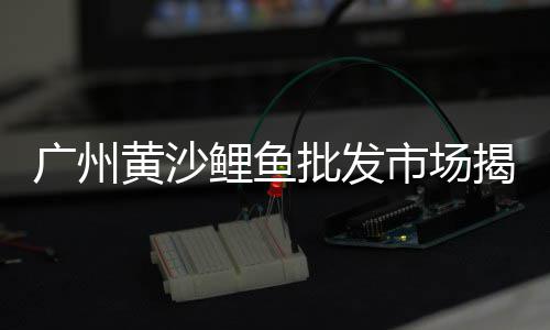 海门园林黄沙石子价格、邓州黄沙价格、黄沙价格规格、宜都黄沙价格