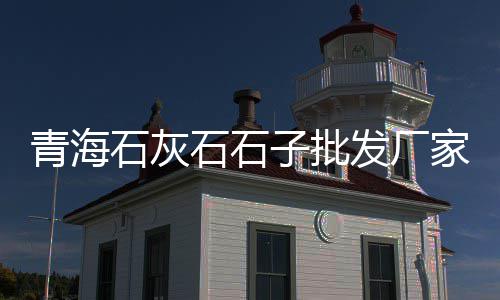 上海山料黄沙公司、上海全区域配送水泥黄沙、上海黄沙水泥砖块、上海浦东水泥黄沙批发