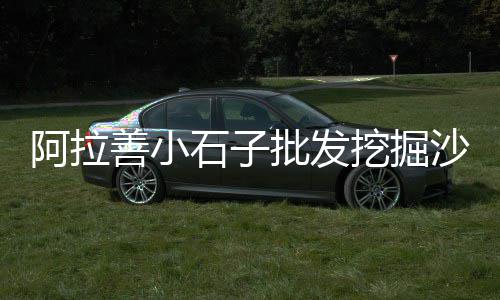 陇南微水泥批发、徐水水泥批发、威县水泥批发、衡南水泥批发
