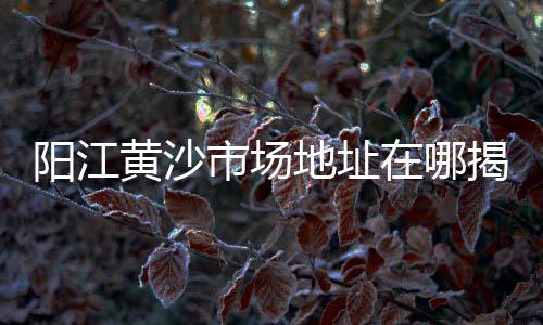 上海水泥砖胎膜批发、上海水泥地直角墙、上海水泥排水沟地址、上海水泥施工队招聘