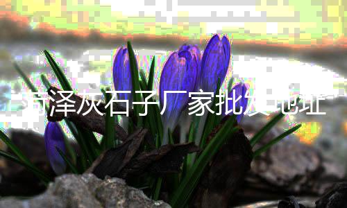 上海白石子价格、上海浦东碎石子医院地址、上海铁路石子多少钱一吨、上海一袋石子价格多少钱