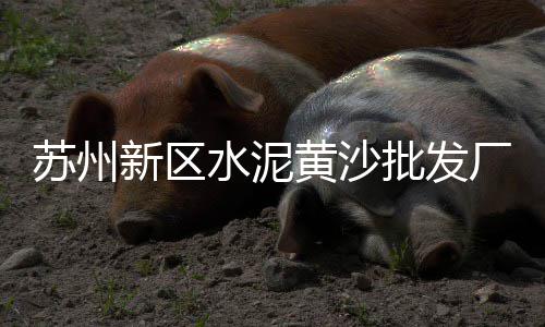 上海进口石子仓大概费用、上海石子喂料机生产厂家、上海造景用白云石还是石子、上海新场再生石子生产厂家