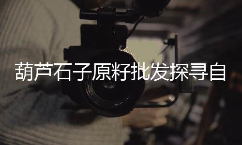 长春市水泥砌砖批发、浙江水泥螺旋输送机批发、山东复合硅酸盐水泥批发、成都微水泥砖厂家批发