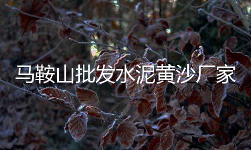 辛口石子零售、厦门石子批发零售店地址、西站附近石子零售店在哪、新余零售沙子石子水泥厂家