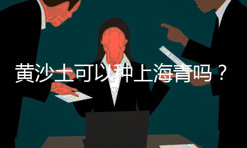 从化区石子批发市场地址、华东石子批发市场在哪里、天津附近石子市场价格表、济南彩石子批发市场地址