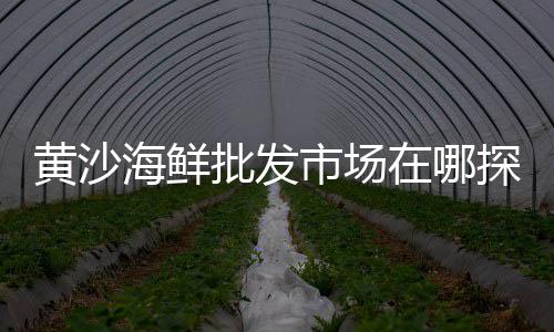 西安华胥水泥批发、漯河水泥管定制批发价格、台州硅酸盐水泥批发价格、嵩明水泥检查井批发价格
