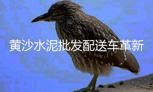赤峰市水泥垫块零售、零售水泥沙子利润多少、凯莱国际附近水泥零售电话、广安砂石水泥零售电话号码