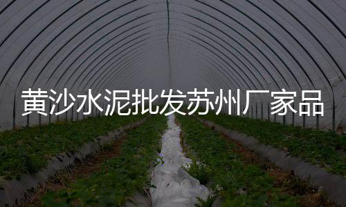 华阴小石子批发、水磨石石子批发信阳、榆林有批发石子馍的没有、合肥水磨石石子批发