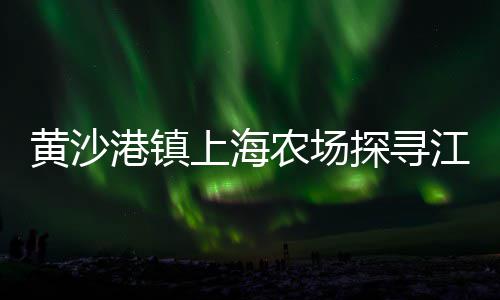 建材零售含黄沙石子吗、从化黄沙零售哪家好、黄沙水泥批发零售永城、广州黄沙田螺零售