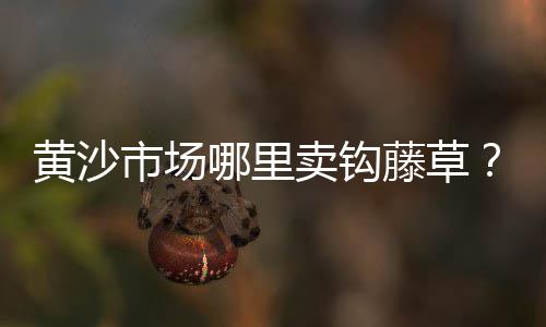 郑州经开区批发零售水泥大沙、延安沙子水泥批发零售、乳山水泥零售电话、合肥水泥罐零售