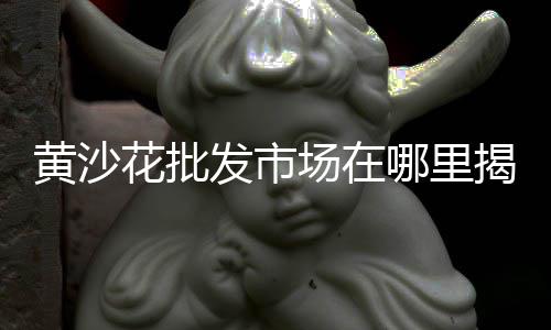 大店水泥黄沙价格表、黄沙滩公园门票价格、黄沙镇捕鱼船价格查询、广州黄沙明虾价格表大全